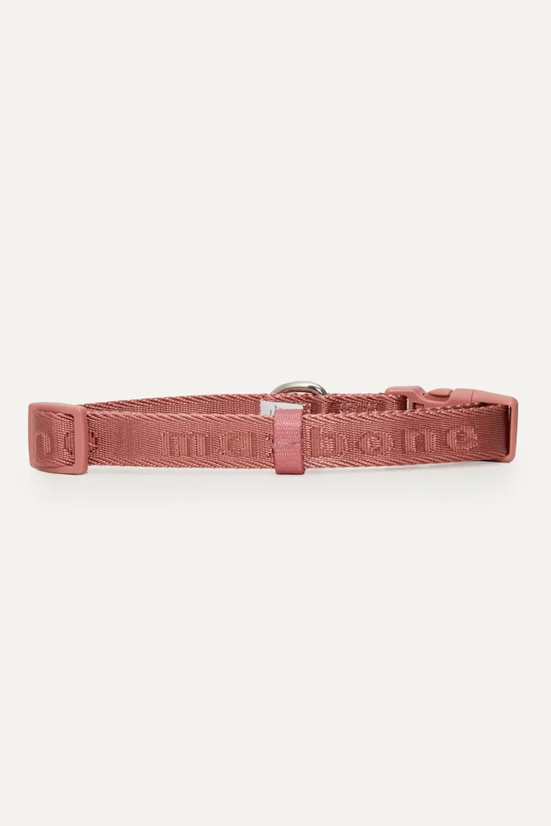 Signature Collar