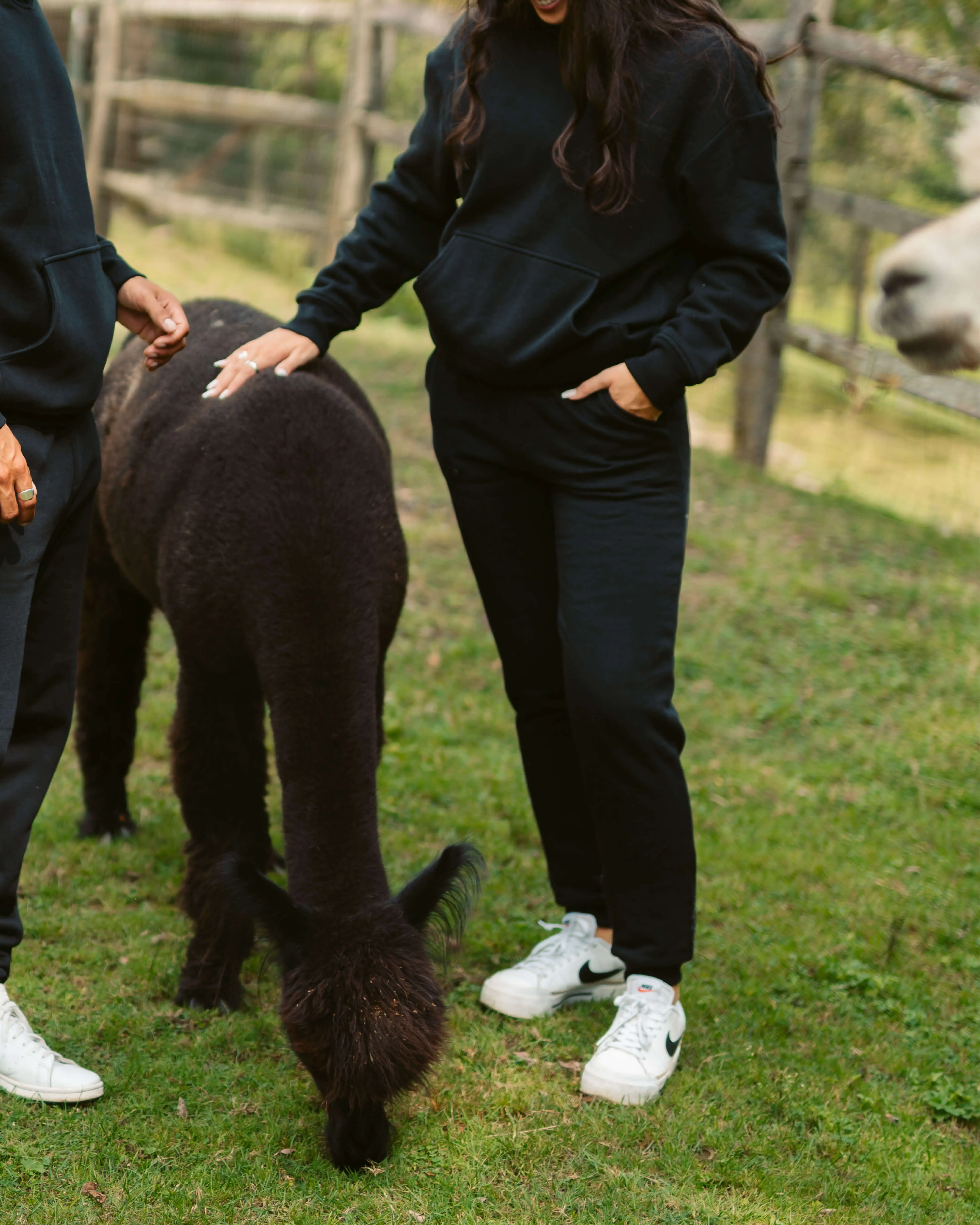 Women's AlpacaCloud® Joggers