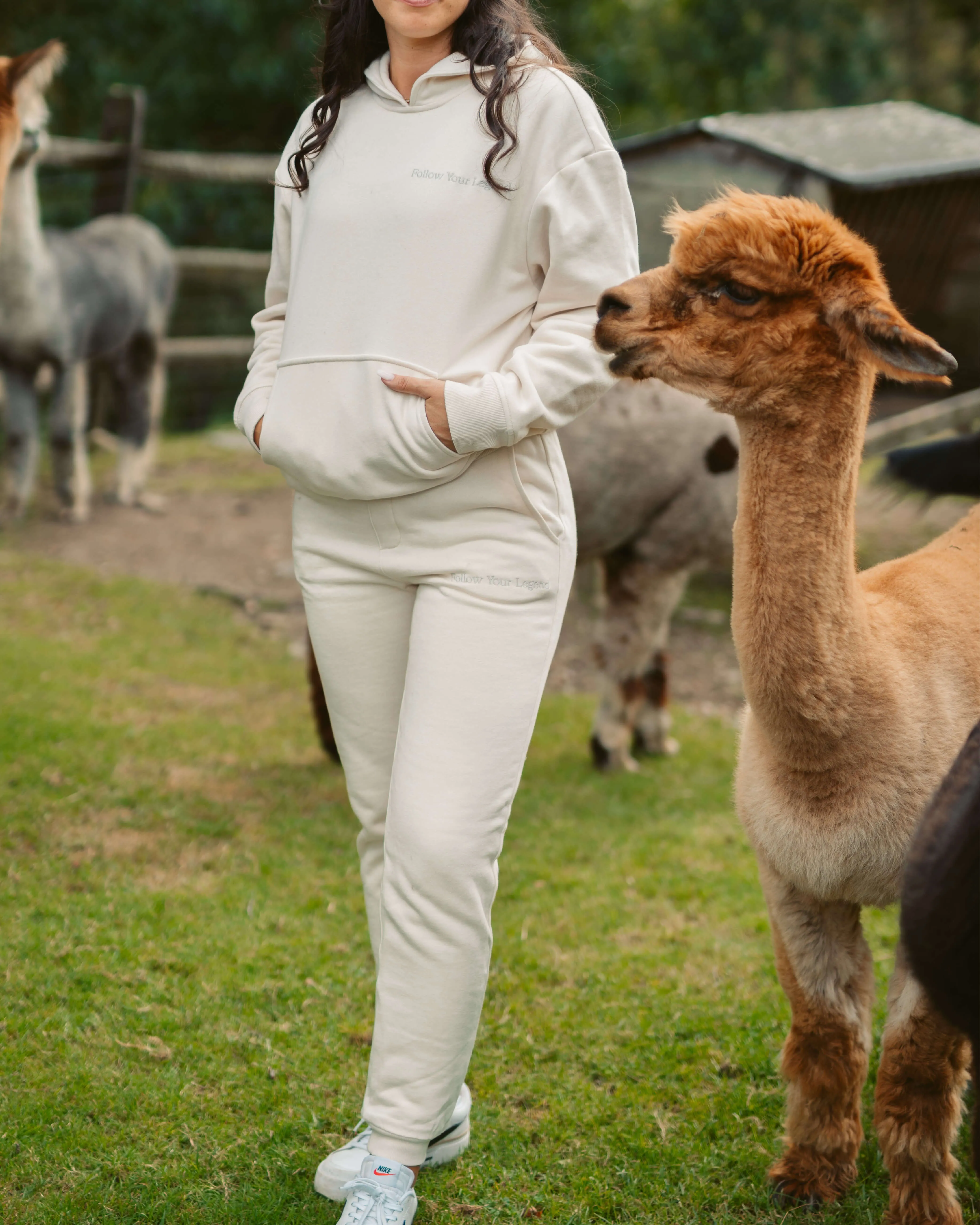 Women's AlpacaCloud® Joggers